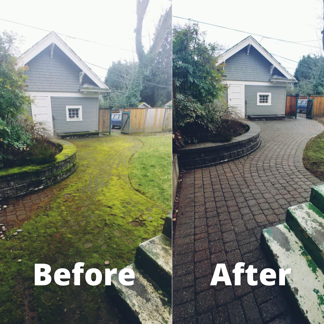 Before and after curved paver walkway cleaning